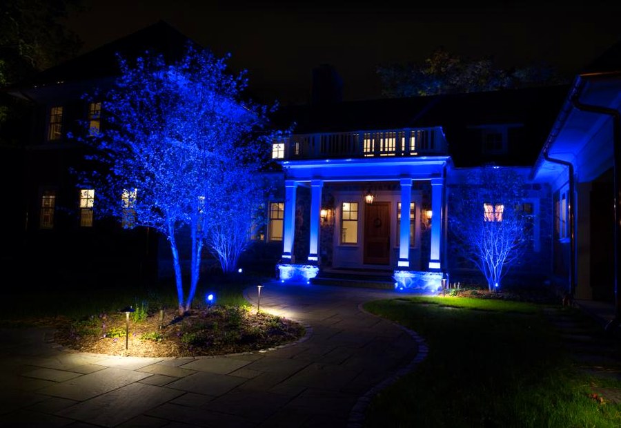 Landscape Lighting photo