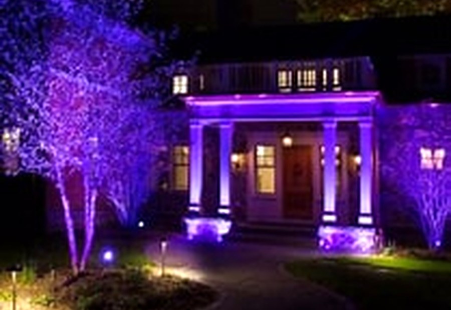 Landscape Lighting photo